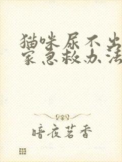 猫咪尿不出来在家急救办法