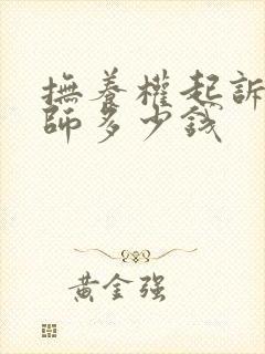 抚养权起诉找律师多少钱