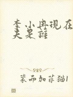 李小冉现在的丈夫是谁