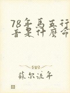 78年马五行纳音是什么命封面