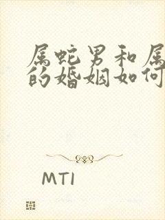 属蛇男和属马女的婚姻如何封面