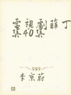 电视剧薛丁山全集40集封面