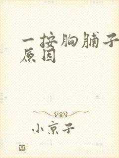 一按胸脯子疼啥原因