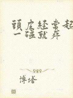 头皮经常起疙瘩一碰就疼封面