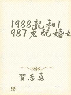 1988龙和1987兔配婚姻好不好