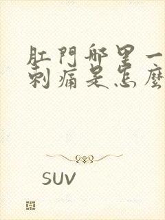 肛门哪里一阵阵刺痛是怎么回事封面