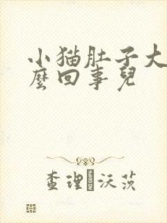 小猫肚子大是怎么回事儿