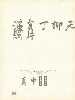 演员丁柳元丈夫照片封面