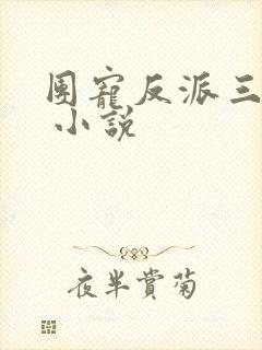 团宠反派三岁半 小说