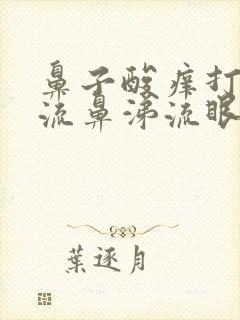 鼻子酸痒打喷嚏流鼻涕流眼泪怎么办封面