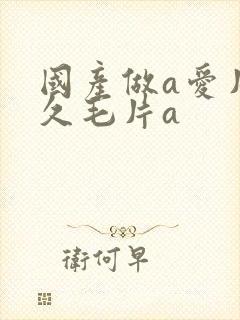 国产做a爱片久久毛片a