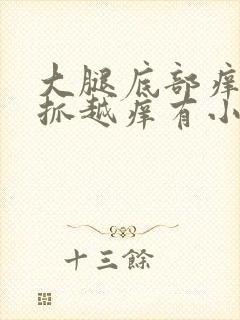 大腿底部痒痒越抓越痒有小红疙瘩