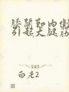 膝关节内侧疼痛引起大腿筋疼封面