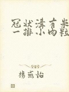 冠状沟有米粒状一排小肉粒