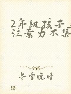 2年级孩子上课注意力不集中怎么办封面