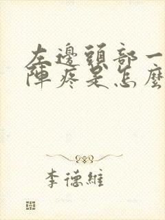 左边头部一阵一阵疼是怎么回事封面