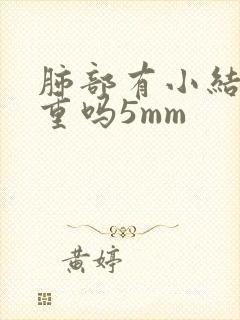 肺部有小结节严重吗5mm封面