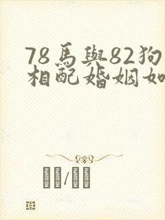 78马与82狗相配婚姻如何