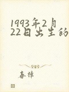 1993年2月22日出生的命运