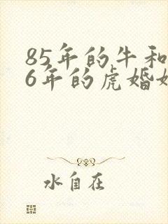 85年的牛和86年的虎婚姻怎样