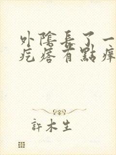 外阴长了一个硬疙瘩有点痒疼