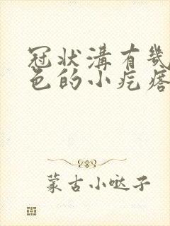 冠状沟有几颗白色的小疙瘩是怎么回事封面