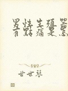 男性生殖器小便有点痛是怎么回事