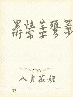 男性生殖器延长术需要多少费用封面