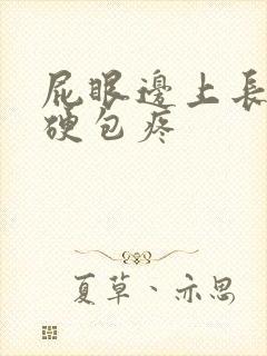 屁眼边上长了个硬包疼