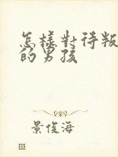 怎样对待叛逆期的男孩