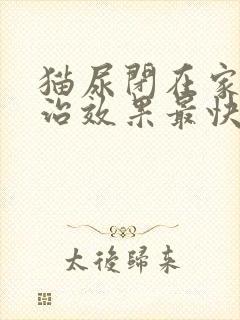 猫尿闭在家怎么治效果最快