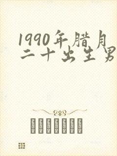 1990年腊月二十出生男孩命运