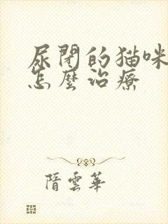 尿闭的猫咪在家怎么治疗封面