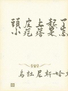 头皮上起了好多小疙瘩是怎么回事