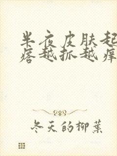 半夜皮肤起小疙瘩越抓越痒