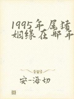 1995年属猪姻缘在哪年最旺盛