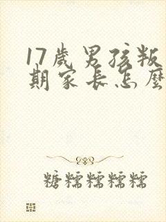 17岁男孩叛逆期家长怎么办