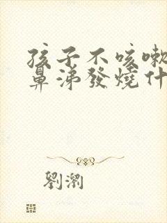 孩子不咳嗽不流鼻涕发烧什么原因