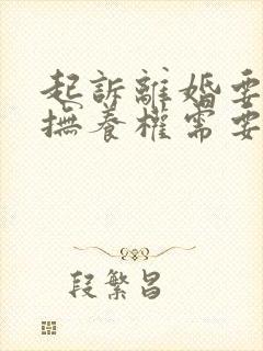 起诉离婚要小孩抚养权需要什么东西封面