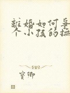 离婚如何争取两个小孩的抚养权封面