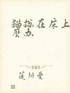 猫总在床上尿怎么办