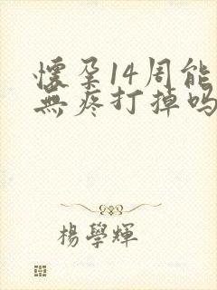 怀孕14周能做无疼打掉吗