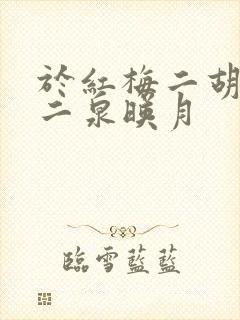 于红梅二胡演奏二泉映月