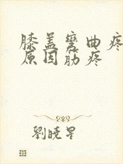 膝盖弯曲疼痛的原因筋疼