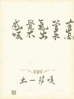 感觉气管有痰又咳不出来怎么办?