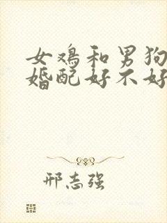 女鸡和男狗属相婚配好不好