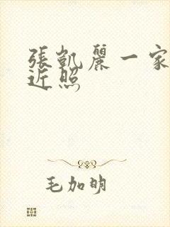 张凯丽一家三口近照