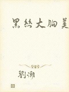 黑丝大胸美女封面