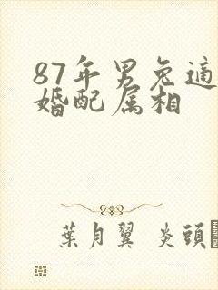 87年男兔适合婚配属相