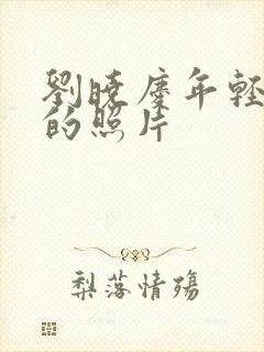 刘晓庆年轻最美的照片